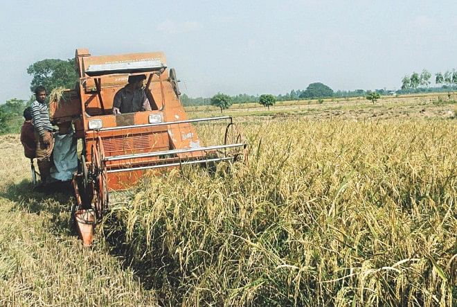 The locally made machine, which can harvest one acre per hour, is in operation in a paddy field of Dinajpur.  Photo: Star