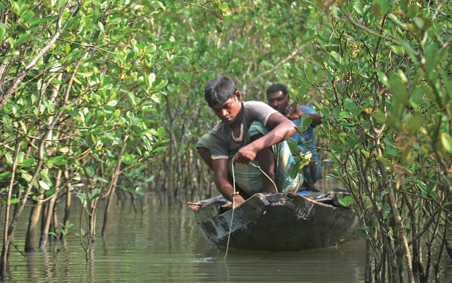 Like Natabar (back) and Haradhan, Sundarban provides livelihood for a large number of forest resource users. Photo: Enamul Mazid Khan Siddique