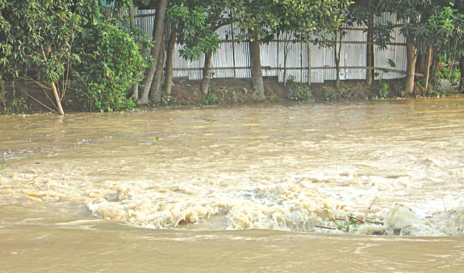 Water is rushing in yesterday through cracks of Laxmipur dyke in Doarabazar upazila of Sunamganj district. Photo: Star