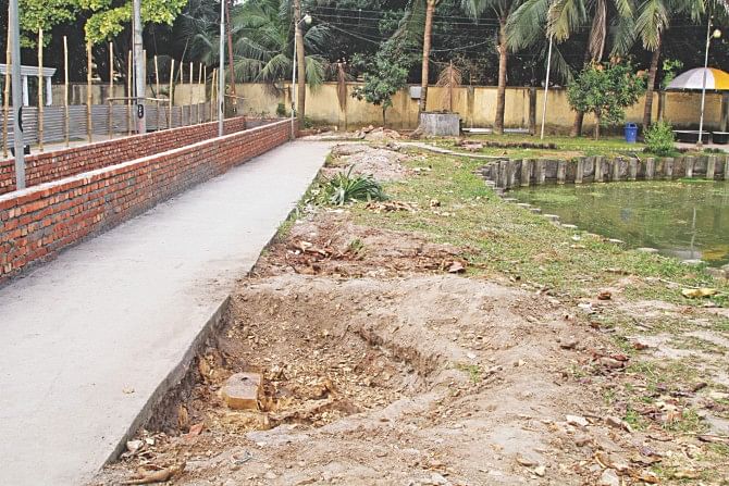 One of the stumps serving as a reminder of the dozen old fruit bearing trees and scores of flowering plants which once stood in the capital's Mohakhali DOHS. The felling was to make way for a Tk 1.5 crore development scheme and beautification work centring a water body by Lake Road. The photos were taken recently.