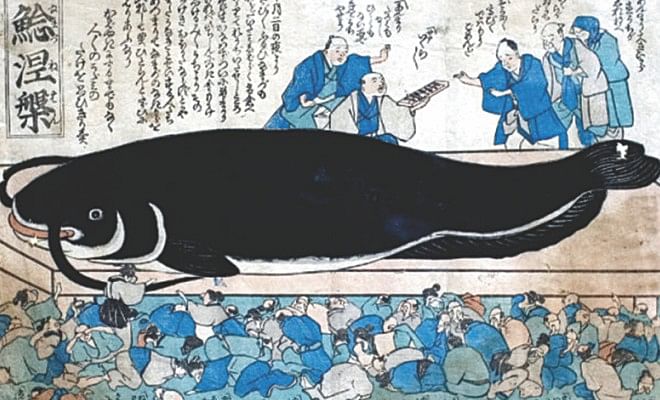 A woodblock print shows a mythic catfish that causes earthquakes, according to Japanese myth. Photo: historyofgeology.fieldofscience.com