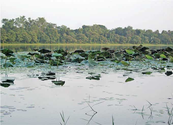 Ramsagar is the largest and most famous of Dinajpur's seven tanks.