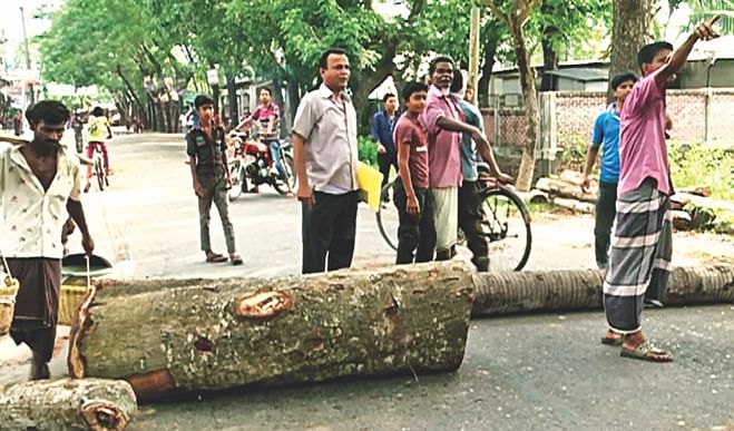 Logs are placed on a road in Phulgazi upazila of Feni yesterday during the dawn-to-dusk hartal called to protest the murder of upazila chairman Ekramul Haque.  Photo: Banglar Chokh