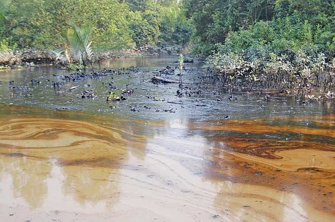 Out of the 350,000 litres of spilled oil, only 50,000 litres  have been collected from the rivers and the forests. Photo: AFP