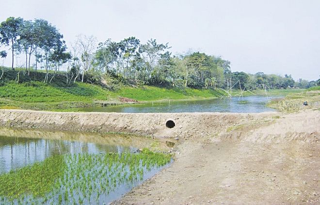Encroachers, reportedly ruling party men, have built an embankment across the Chiknai river in Chatmohar of Pabna to make an enclosure for fish farming. Even with such blatant violation of the law, the local administration has done nothing to restore the flow of the river. Photo: Star