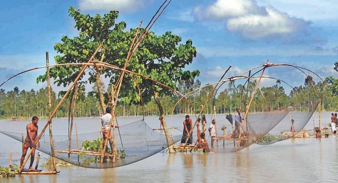 People try to catch fish in Arkatia of Dhunat in Bogra yesterday as the flooding there released fish from fish farms of the area. Photo: Banglar Chokh