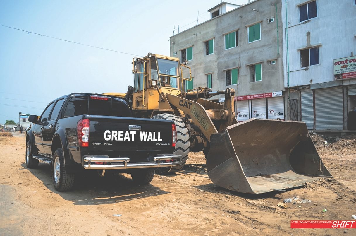 Cat against a great wall