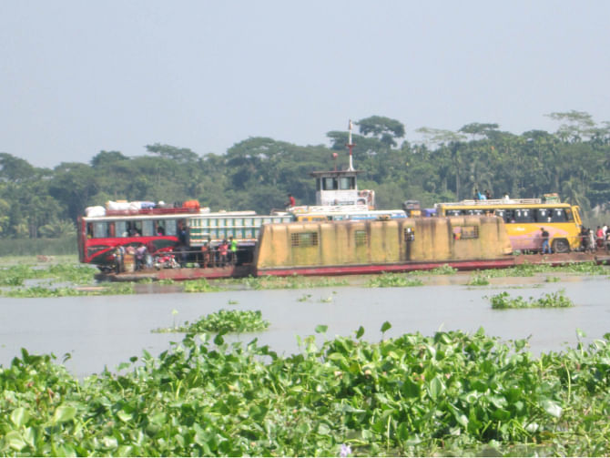 Water hyacinth covers a large portion of the Kacha River in Pirojpur district, creating disturbance to ferry services on two routes. PHOTO: STAR
