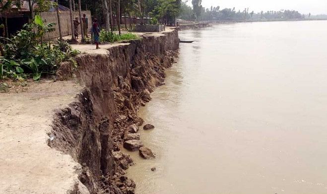 The turbulent Jamuna has devoured a number of houses and vast tracts of croplands in Phulchhari and Saghata upazilas of Gailbandha district in the last three days. The photo was taken from Dighalkandi in Haldia union of Saghata upazila yesterday.  PHOTO: STAR