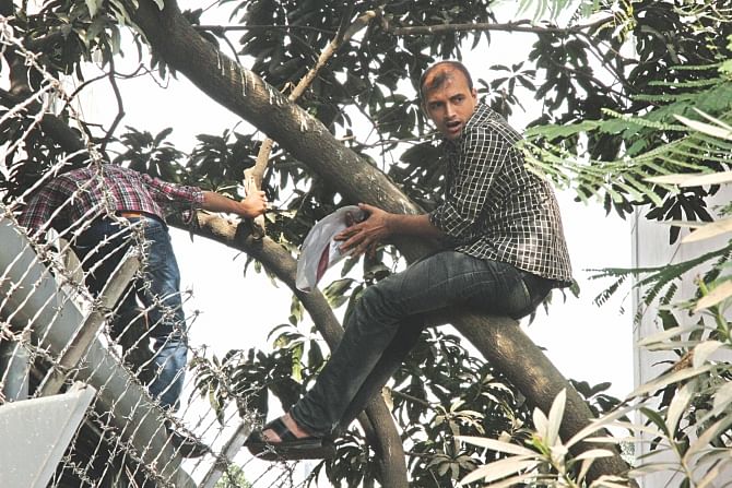 They climb on trees and scale the walls to get in and on the building of the expatriate welfare and overseas employment ministry at Eskaton Garden yesterday following a rumour that yesterday was the last day to register for jobs in the Kingdom of Saudi Arabia. Photo: Sk Enamul Haq