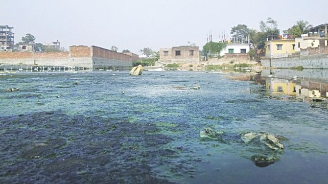 What was once a canal bubbling with life and bringing prosperity to communities in Savar is now a mass of mud, algae and garbage peering over murky waters. Photo: Rashad Ahamad