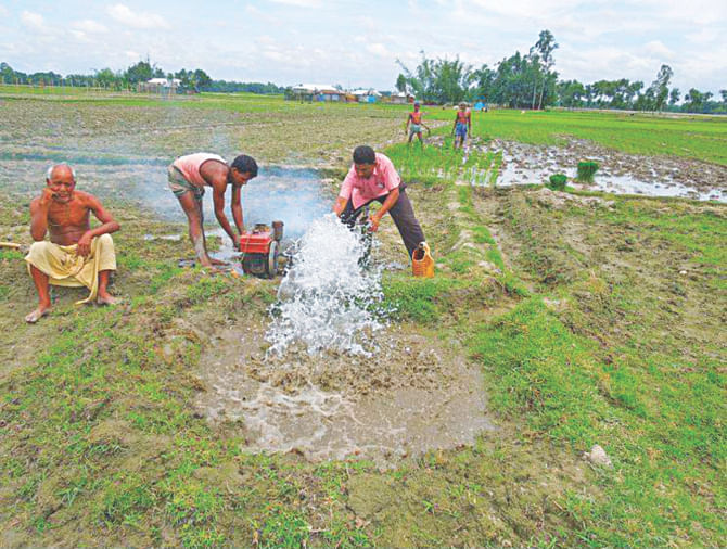 Tired of waiting for rain water for T-aman cultivation, a farmer at Kanaikata village in Niphamari Sadar upazila finally arranges costly irrigation with power pumps. PHOTO: STAR