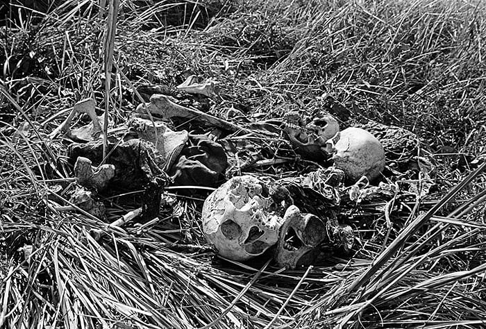Skeletons of atrocity victims found after the liberation, in a field near Dhaka. There were pits full and scattered bodies all over Shialbari area in Mirpur, around the ruins of burned out villages. Photo: Magnum Photos