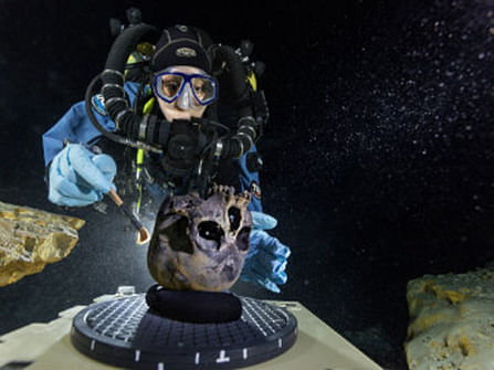 In this June 2013 photo provided by National Geographic, diver Susan Bird, working at the bottom of Hoyo Negro, a large dome-shaped underwater cave in Mexico's Yucatan Peninsula, brushes a human skull found at the site while her team members take detailed photographs. Photo: AP 