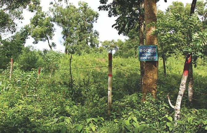 Even though the graveyard is way behind, locals of Anwara in Chittagong set up a barbed-wire fence and placed a sign on a tree claiming the land inside the KEPZ to be part of the graveyard. Photo: Star
