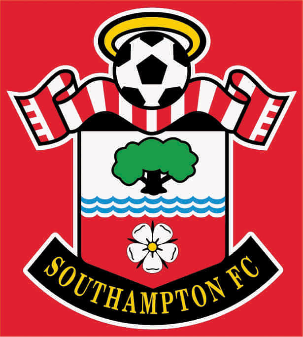 A complete overhaul of the Southampton team including the manager, it may be bad news for The Saints. 