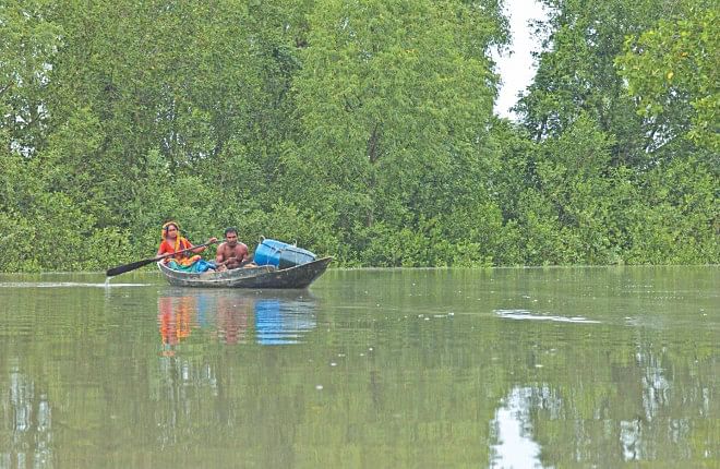 Rising sea level: Threat to the Sundarbans.