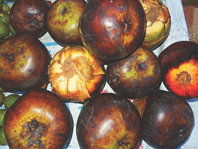 Anybody who knows the taste of Palmiyra, locally known as tal, would be easily  attracted by the sweet flavour of the seasonal fruit. PHOTO: STAR