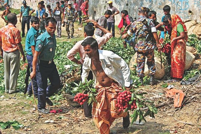 While people pick up allegedly formalin-tainted litchis and make a run for it when the authorities concerned were destroying them in BRTC area of Chittagong. Photo: File
