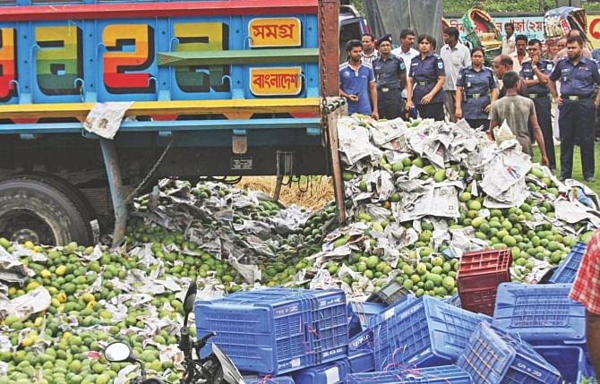 Tangail district administration destroys a truckload of mangoes at Tangail bypass area labelling them formalin tainted. Photo: File