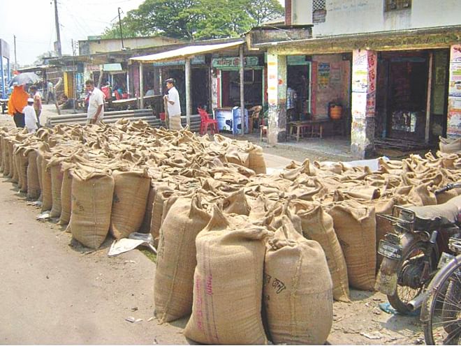 Sacks of wheat bought from farmers by influential traders are kept at Tebunia Haat in Pabna district before supply to the government godowns. The official rate for procuring wheat this season eludes the farmers as traders and middlemen virtually prevent the growers from selling the crop directly to the godowns.   PHOTO: STAR
