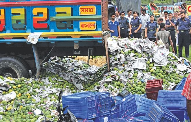Tonnes of mangoes are being offloaded from a truck seized in Tangail on its way from Rajshahi to Noakhali yesterday. The mangoes were found tainted with formalin. Photo: Mirza Shakil