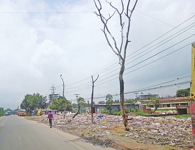 A few skeletons of trees stand surrounded by garbage beside the Dhaka-Aricha highway in Savar, on the outskirts of the capital. Even just three months back the scenario was completely different with rows of trees lining the highway. However, continuous dumping of household garbage there by Savar municipality have left many trees dead and many others dying.  photo: star