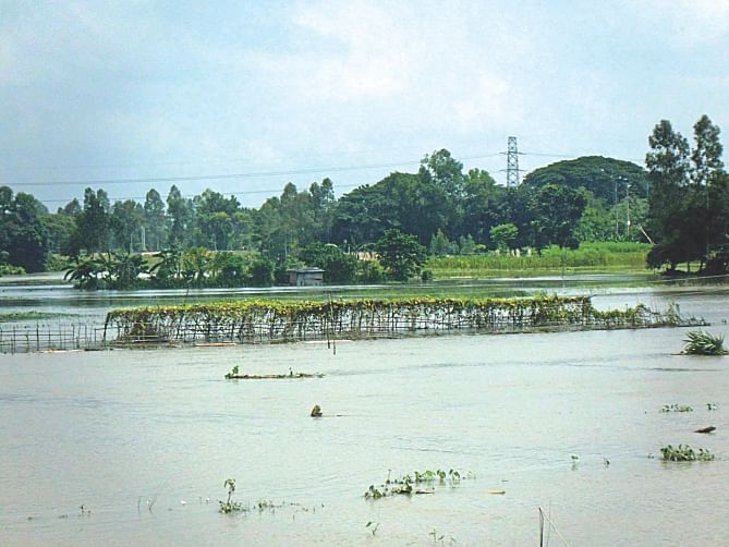 A large portion of vegetable fields go under floodwater in Elenga of Tangail.  Photo: Star