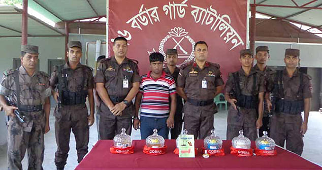 Border Guard Bangladesh (BGB) personnel arrest venom smuggler Milon Kaji (centre) along with cobra snake poison worth Tk 100 in Benapole of Jessore Friday night. Photo: Star 