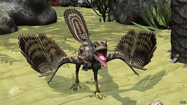 Archaeopteryx may have been a flightless predator scurrying among tropical trees. Photo taken from BBC