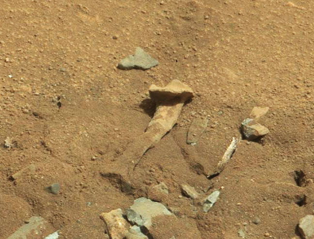 Alien thigh bone? NASA says highly unlikely. Photo: NASA