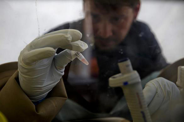 A scientist separates blood cells from plasma cells to isolate any Ebola RNA in order to test for the virus at the European Mobile Laboratory in Gueckedou, Guinea April 3, 2014. Photo: Reuters