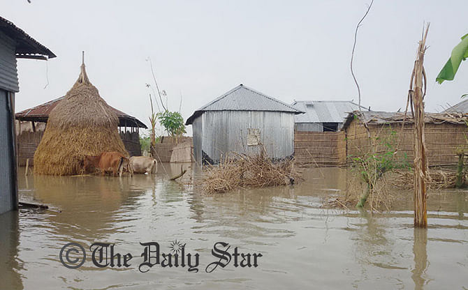 This photo taken on August 22, 2014 shows partial view of the flood affected Chirakhawa Char of Jatrapur union under Kurigram Sadar upazila. Photo: STAR 