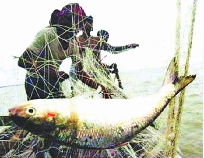 This Star file photo shows fishermen catching hilsa.