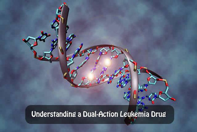 Researchers have shown that the drug 5-Aza-CdR (decitabine), which is used to treat pre-leukemia, works not only by reactivating some tumor suppressor genes but also by down-regulating an overexpressed oncogene (cancer gene). Photo taken from Cancer Researach and Technology Facebook Page