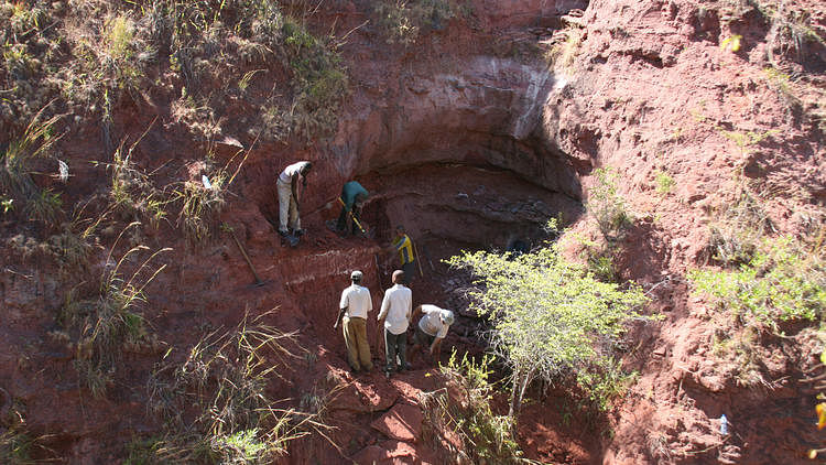 Tanzanian titanosaur: Paleontologists in Tanzania remove the remaining portions of the Rukwatitan skeleton from the quarry where it was found. Photo taken from Los Angeles Times / Patrick O'Connor / Ohio University