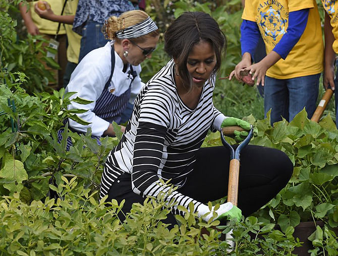 First lady Michelle Obama is joined by school children as they harvest peanuts in the annual fall harvest of the White House Kitchen Garden at the White House in Washington, Tuesday, Oct. 14, 2014. In celebration of Farm to School Month, Obama invited students from Arizona, California, and Ohio to participate in the fall harvest. These schools were selected because they are participating in farm to school programs that incorporate fresh, local food into their school meals, and they teach students about healthy eating through school gardens and nutrition education. Photo: AP/ Susan Walsh