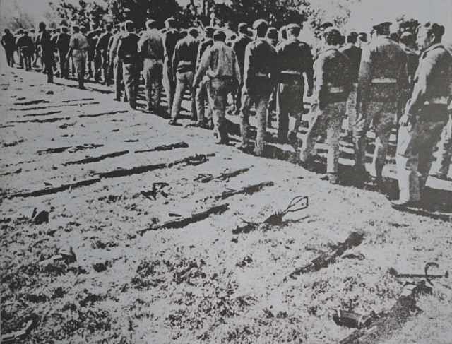 Surrendering the arms: Pakistani troops made their final march on Bangladeshi soil. Photo: archives