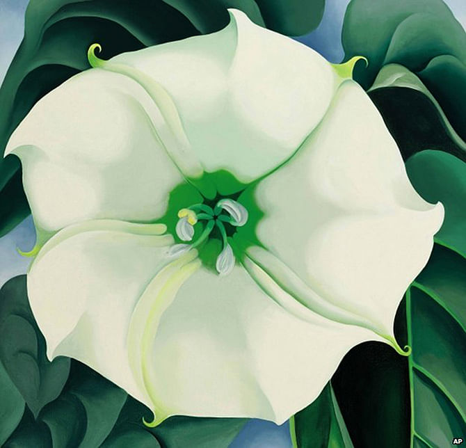 Georgia O'Keeffe painted the simple white blossom of a weed. Photo: AP