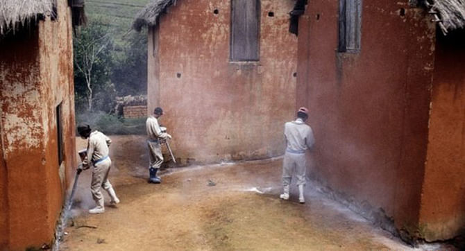 The authorities can use insecticide to try to halt outbreaks of the plague. This photo is taken from BBC.