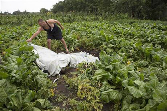 A man covers a body with a plastic sheet near the site of a crashed Malaysia Airlines passenger plane near the village of Rozsypne, Ukraine, eastern Ukraine Friday, July 18, 2014. Photo: AP 