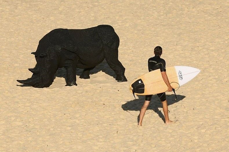 'Gift of the Rhinoceros' by Mikaela Castledine, on Tamarama Beach. Photo taken from Amusing Planet/ Cameron Spencer