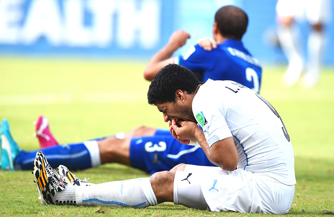 Luis Suarez of Uruguay and Giorgio Chiellini of Italy react after a clash during the 2014 FIFA World Cup Brazil Group D match between Italy and Uruguay at Estadio das Dunas on June 24, 2014 in Natal, Brazil. Photo: Getty Images