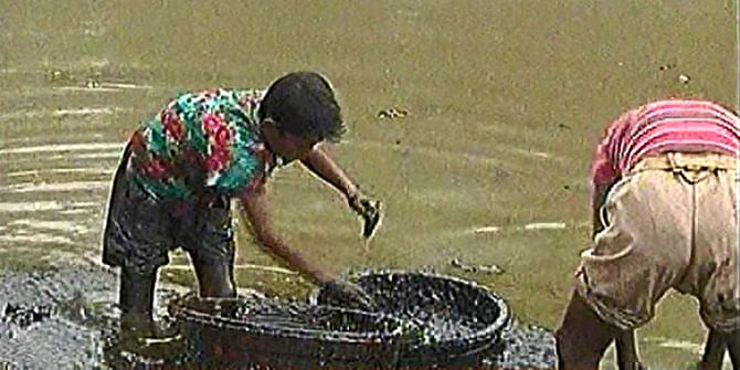 Locals are seen scooping oil that from a river along the Sundarbans on Saturday. The oil was spilled from an oil tanker that sank in the Shela river in Bagerhat last Tuesday. Photo: TV grab 